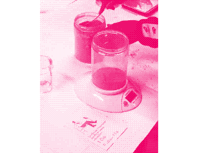  Exemple d’une expérience réalisée pendant un atelier sur la visualisation du poids du numérique